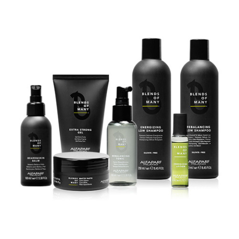 ШАМПОАН ПРОТИВ ПЪРХОТ Alfaparf Milano Blends Of Many Rebalancing Low Shampoo 250ml 