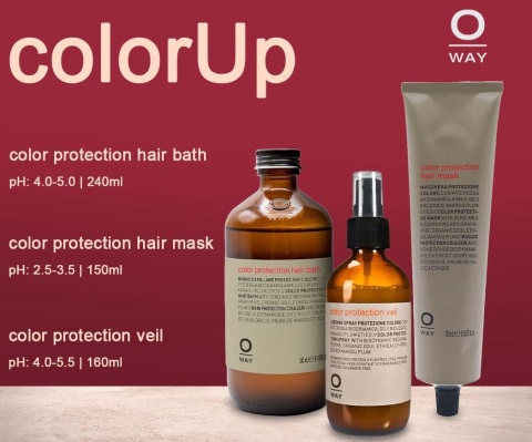 СПРЕЙ ЗА БОЯДИСАНА КОСА ЗАЩИТА НА ЦВЕТА OWAY Color Protection Veil 160ml
